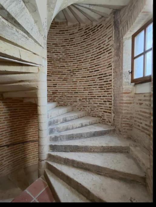 Tour Medievale Unesco Albi Luaran gambar